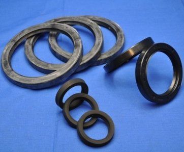 Seals | <p>Seals</p>