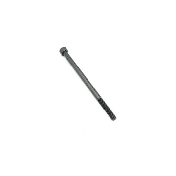 Screw SHCS M6  X 100MM