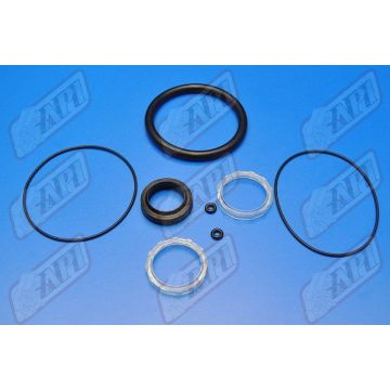 Seal Kit CA163A-PS | Amada # 36000229